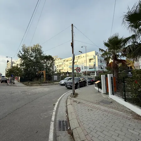 Hysa גולם